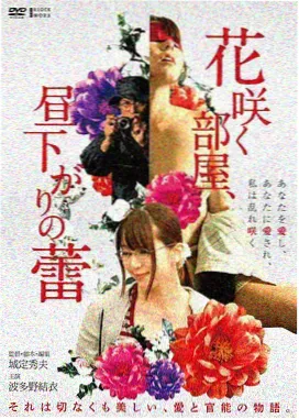 k8经典 经典电影推荐 铁皮鼓手 海报